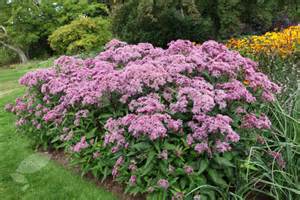 EUPATORIUM DUB PHANTOM #1/7"