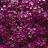 606T/36ALYSSUM PURPLESHADES