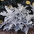 606T/36DUSTY MILLER SILVER DUST