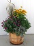 FALL COMBO-12"FESTIVE FALL COMBO