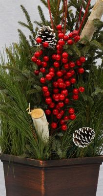 STP-DELUX DOOR STEP CHARMER-SQ