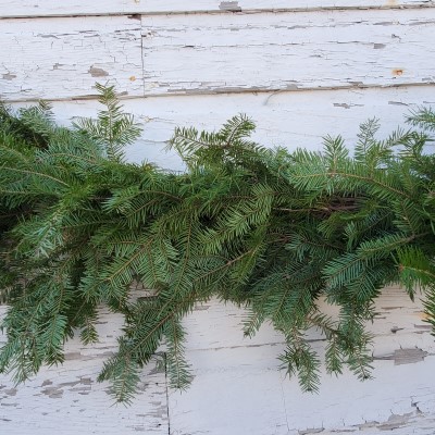 GARLAND BALSAM 25'