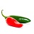 E4.75T/10PEPPER JALAPENO