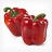 E4.75T/10PEPPER REDBELL