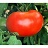 E4.75T/10TOMATO BIGBOY