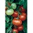 E4.75T/10TOMATO SUPERFANTASTIC