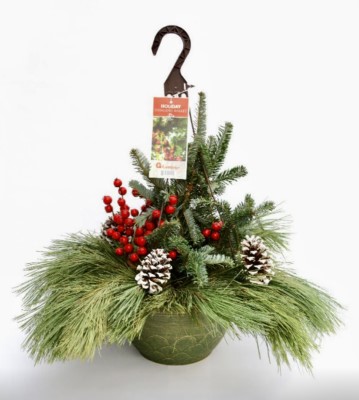 HB HOLIDAY HANGING BASKET