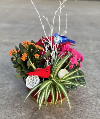 BRILLIANT BLOOMS BOWL W/CARDINAL