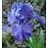 IRIS GER BREAKERS #1/7" BLUE