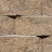 COTTAGE STONE SANDSTONE/BROWN