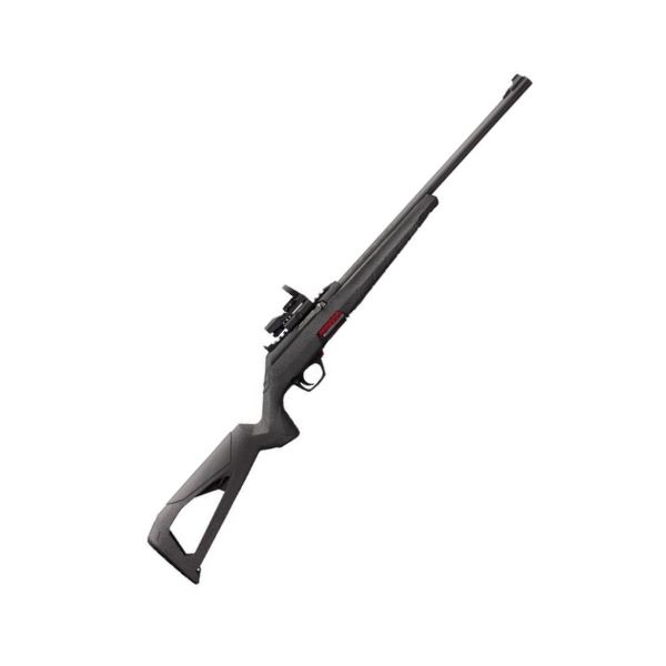 Winchester Wildcat 22 LR 18" Red Dot Combo
