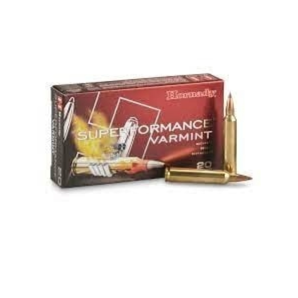 Hornady 204 Ruger 24GR NTX