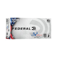 Federal 243 WIN 100GR Non Typical Soft Point