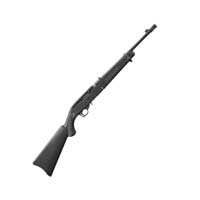 Ruger 10/22 Takedown 22LR 16.4" Black Syn