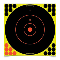 Birchwood Casey Shoot-n-C Round Target  12" 5 Pack