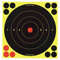 Birchwood Casey Shoot-n-C Round Target  8" 6 Pack