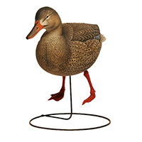 Final Approach  Gunners HD Field Mallard Duck Decoy