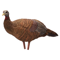 Avian-X Breeder Hen Turkey Decoy