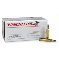 Winchester Varmint and Predator .22-250 REM 45 GR JHP 40 Rounds