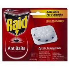 BAIT ANT RAID 4PK