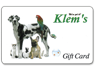 40.00 GIFT CERTIFICATE