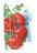 BOTAN Tomato Bush Red Pride hybr