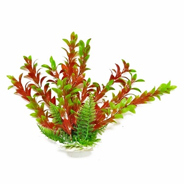 AT PLANT HYGRO GRN/RED BH-12 9"