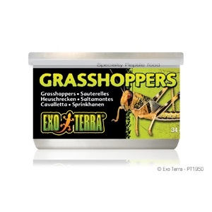 EXO-TERRA GRASSHOPPERS      1 OZ