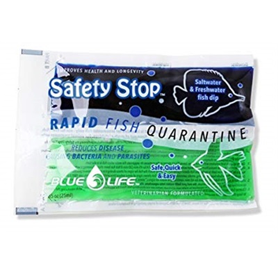 SAFETY STOP QUARANTINE BLUE VET