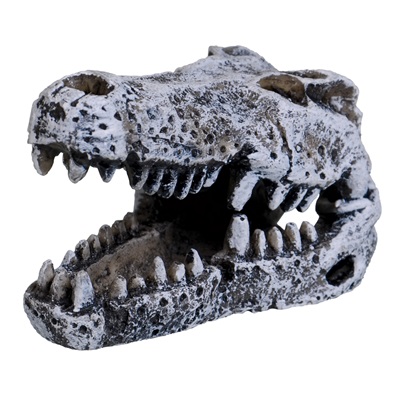 UT CROCODILE SKULL MINI