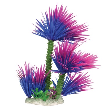 PURPLE WATER PALM  UT