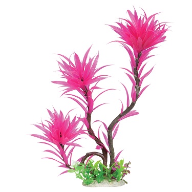 PARADISE FERN  FUCHSIA 18" UT