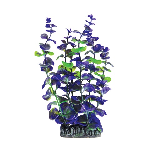 UT PURPLE PARADISE 8"