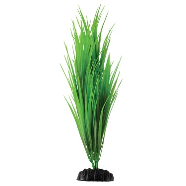 UT GREEN NILE GRASS 12"