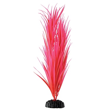 UT ROSE NILE GRASS 16"