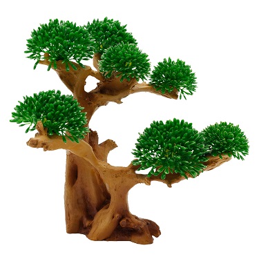 UT LUCKY BONSAI