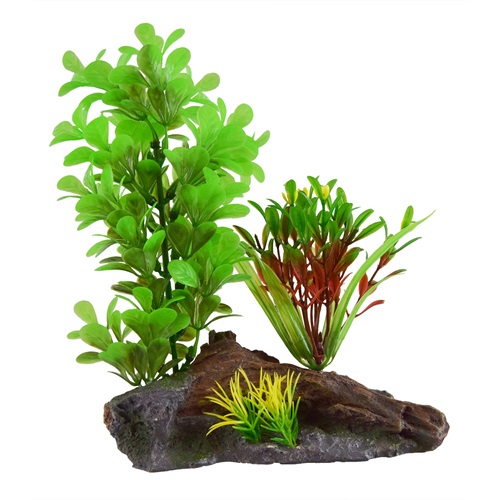 UT GREEN LUDWIDGIA ON WOOD