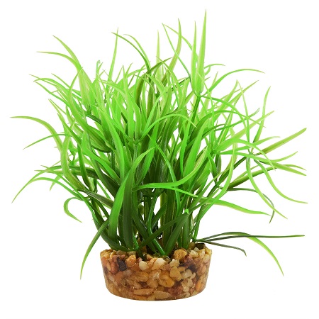 UT STAR GRASS 4"