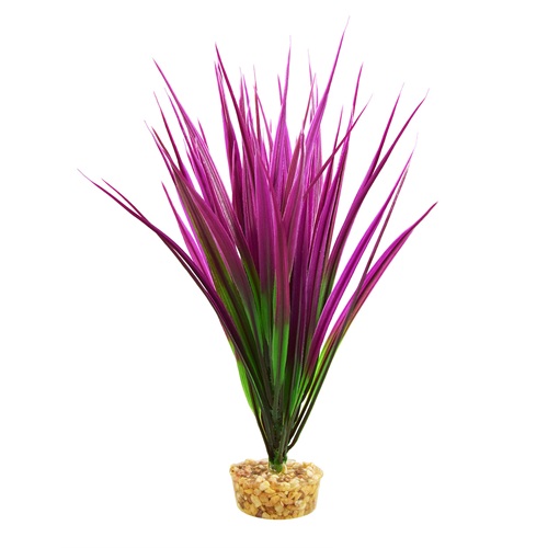 UT AMAZON GRASS PURPLE PLANT 10"