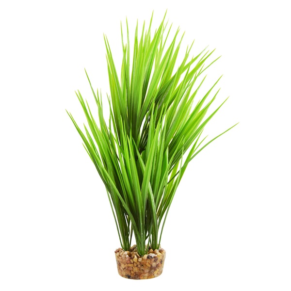 UT AMAZON GRASS GREEN PLANT 10"