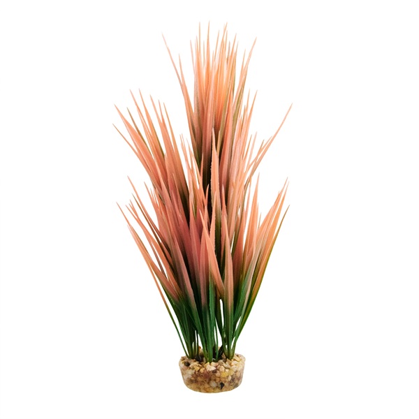 UT AMAZON GRASS SALMON PLANT 10"