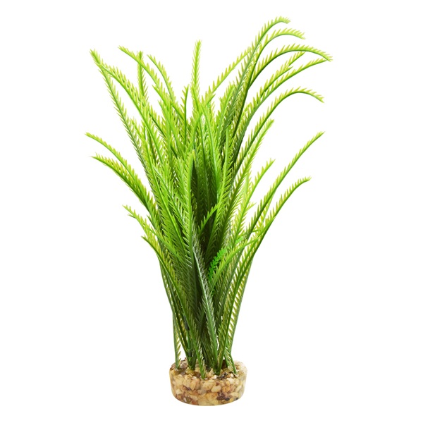 UT JAPONICA GREEN PLANT 12"