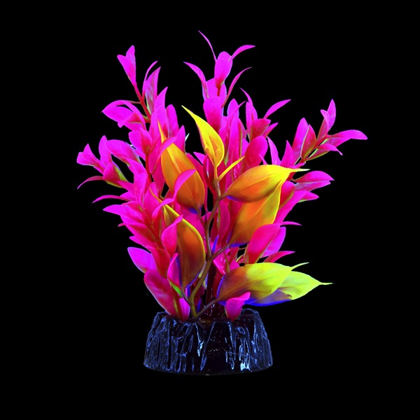UT GLO HYGRO PINK PLANT SMALL
