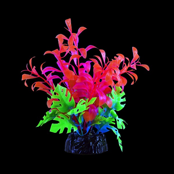 UT GLO BACOPA PINK PLANT SMALL