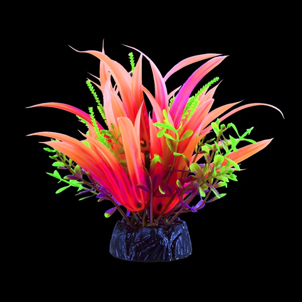UT GLO JAPONICA PINK PLANT SMALL