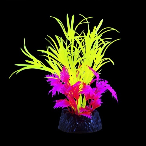 UT GLO STAR GRASS PLANT SMALL