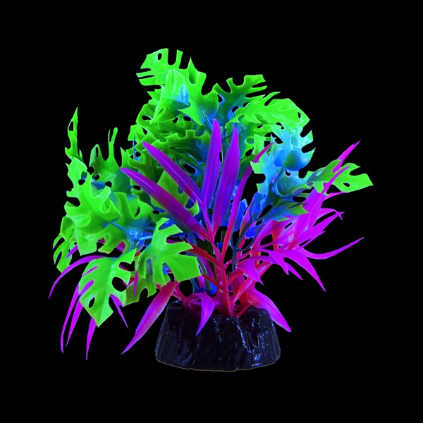 UT GLO ANUBIAS BLUE PLANT SMALL