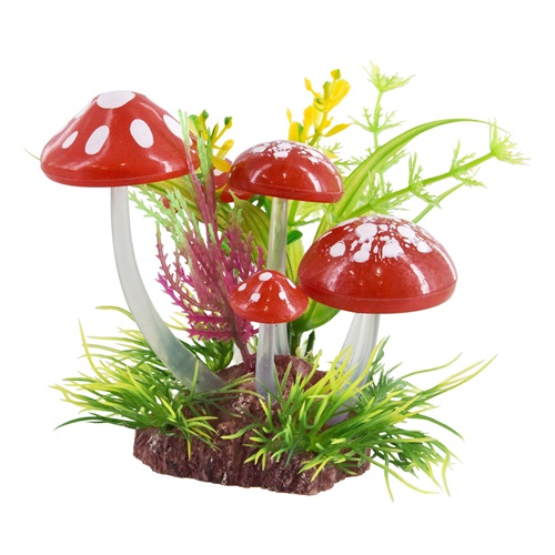UT SHROOM BUSH RED