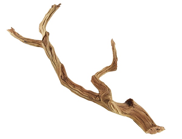 UT GHOSTWOOD MEDIUM 14"X16"