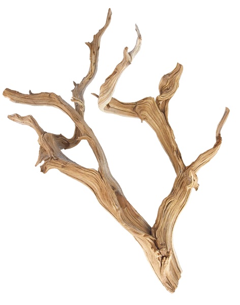 UT GHOSTWOOD LARGE "18-24"